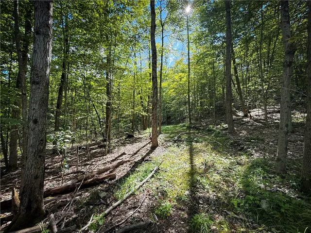 $189,900 | Hollister Road, Ithaca, NY 14850