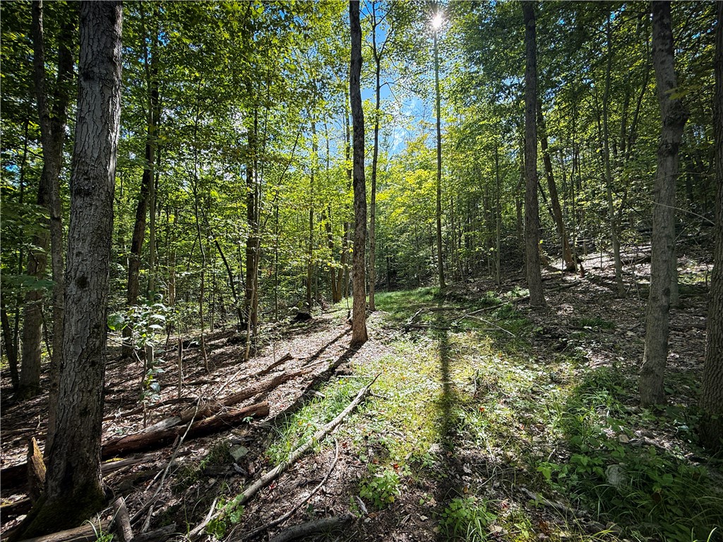 Hollister Road Ithaca, NY 14850 - Photo 10 of 23