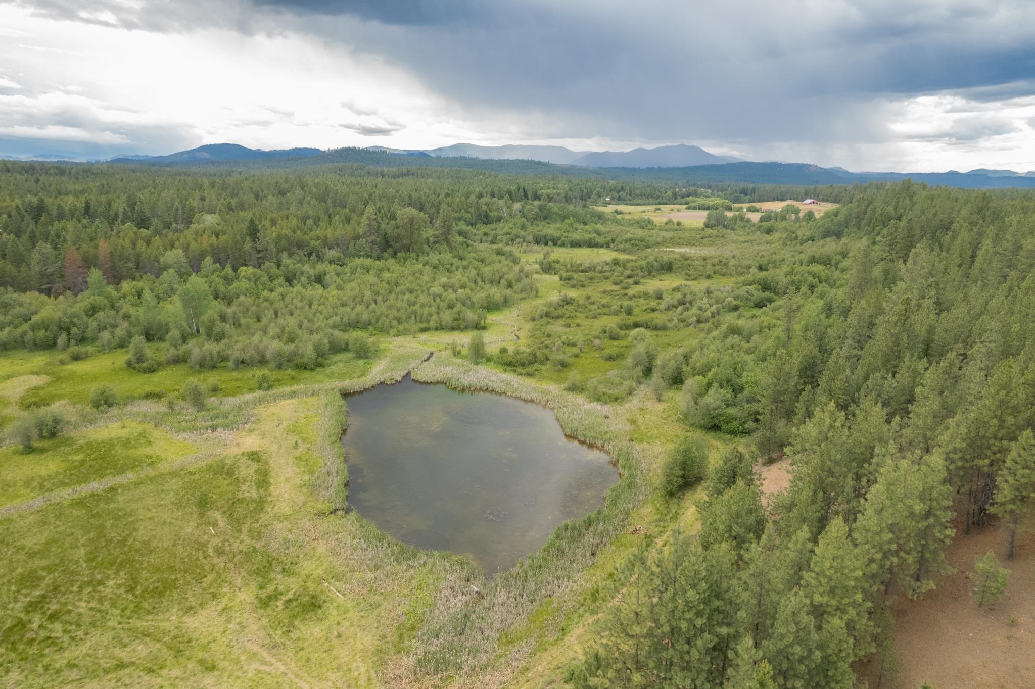 4110 Cemetery Tract Ab Road Springdale, WA 99173 - Photo 18 of 22