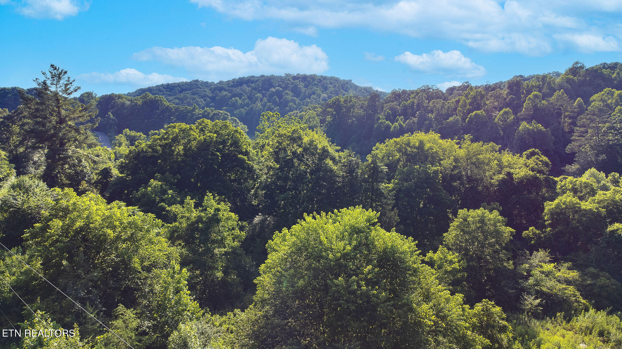Wolf Creek Road Kingston, TN 37763 - Photo 12 of 18 K11