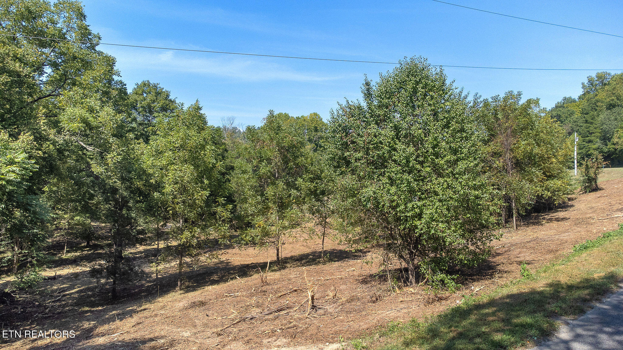 Wolf Creek Road Kingston, TN 37763 - Photo 5 of 18 Wolf 2