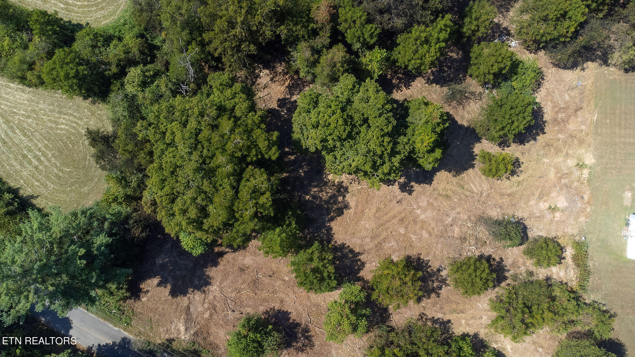 Wolf Creek Road Kingston, TN 37763 - Photo 8 of 18 Wolf 3