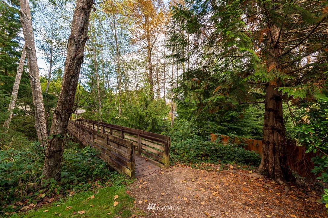 1220 Southwest 12th Street North Bend, WA 98045 - Photo 23 of 25 a view of a forest with trees