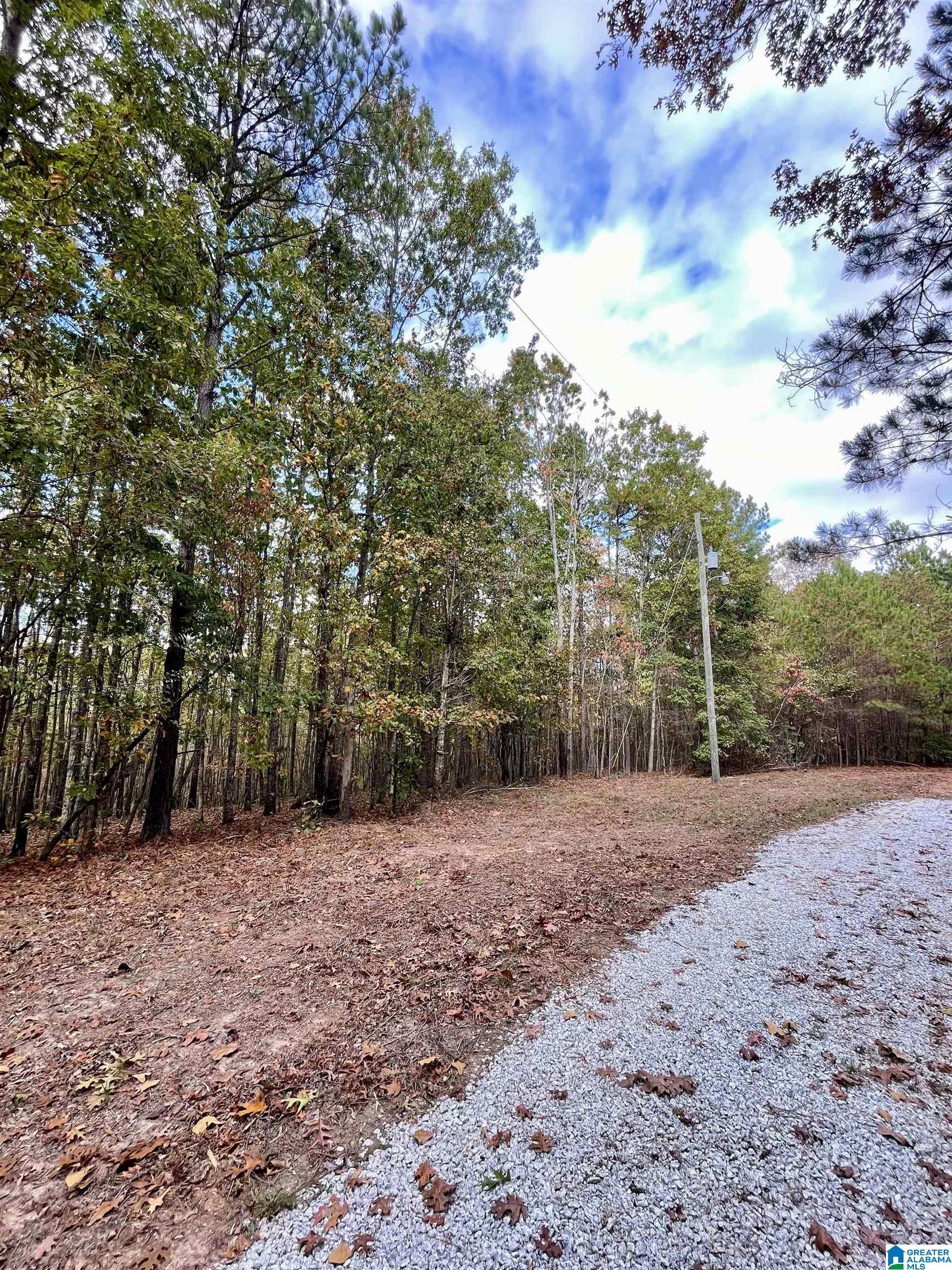 4348 County Road 25, Unit 1 Heflin, AL 36264 - Photo 11 of 22
