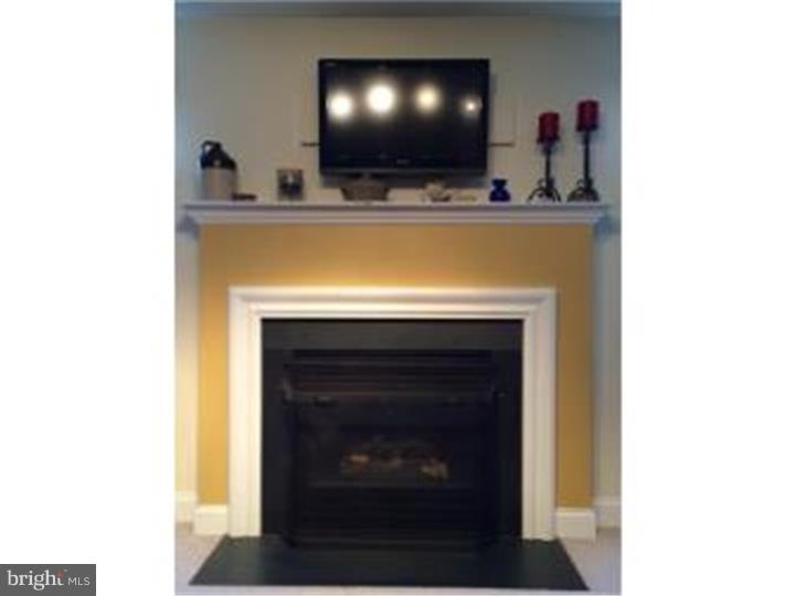 49 Harry Avenue Reading, PA 19607 - Photo 6 of 23 Fireplace