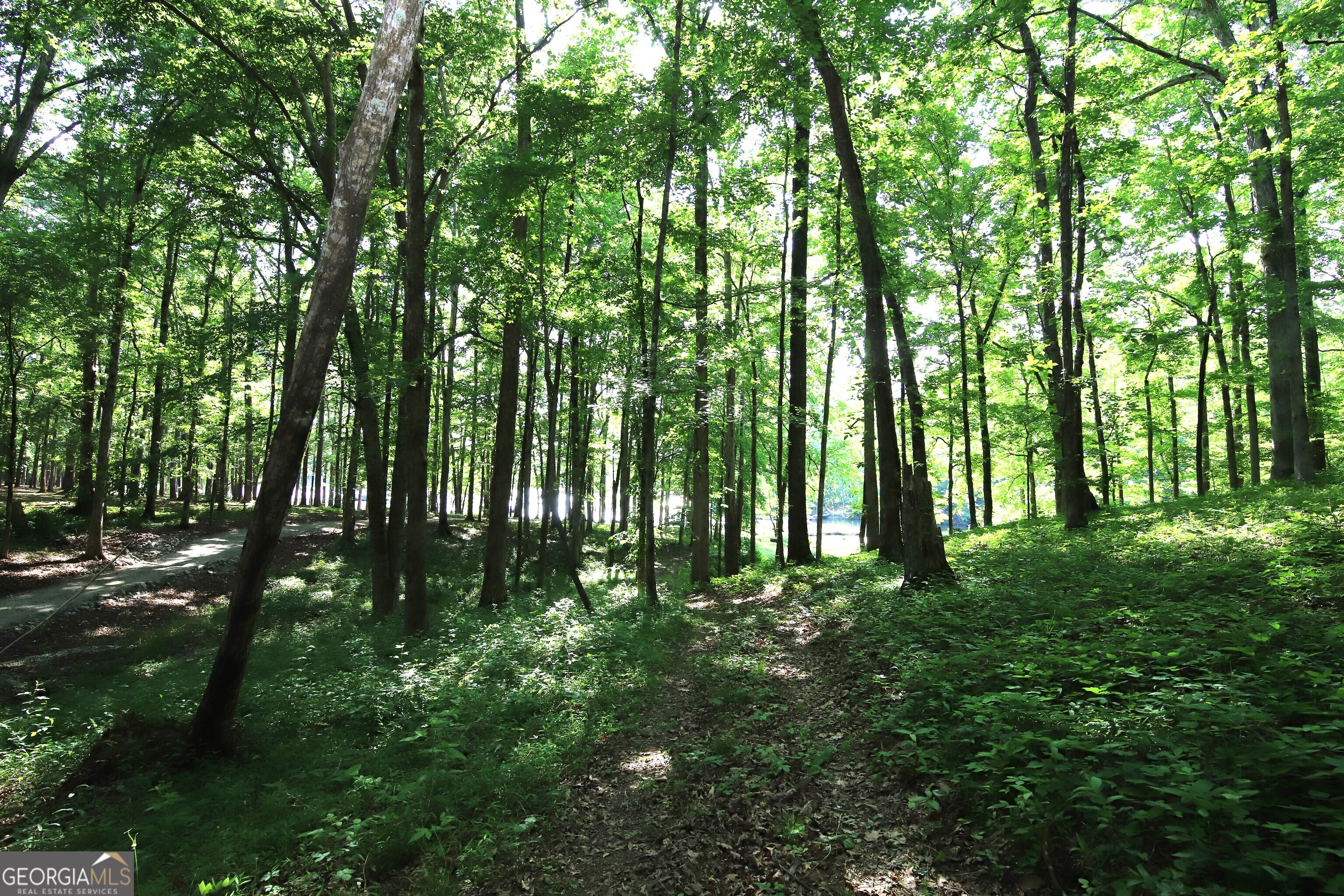 511 Williams Road LaGrange, GA 30240 - Photo 8 of 16