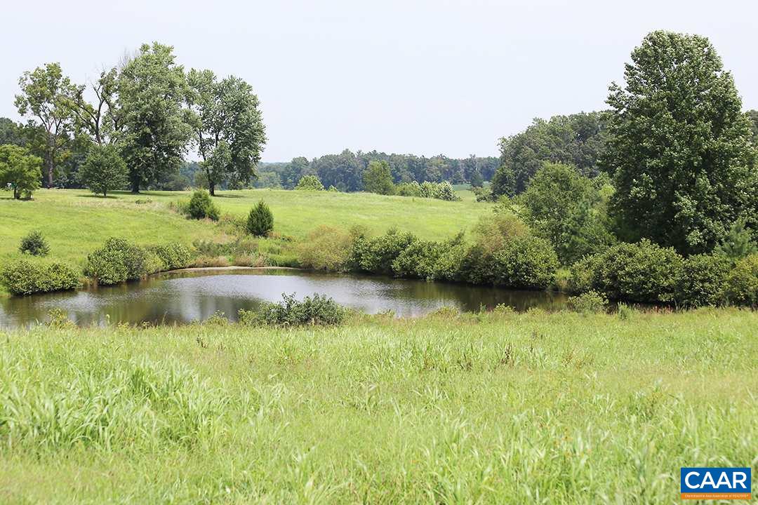2970 Haden Martin Road Palmyra, VA 22963 - Photo 9 of 13 Gallery Image 9