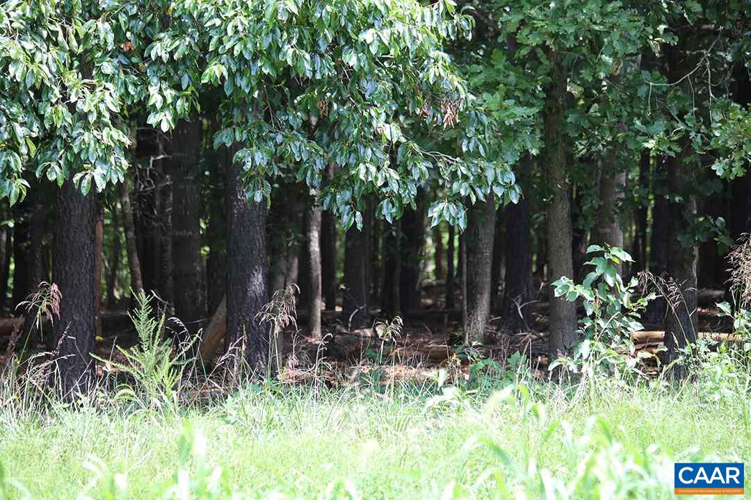 2970 Haden Martin Road Palmyra, VA 22963 - Photo 10 of 13 Gallery Image 10