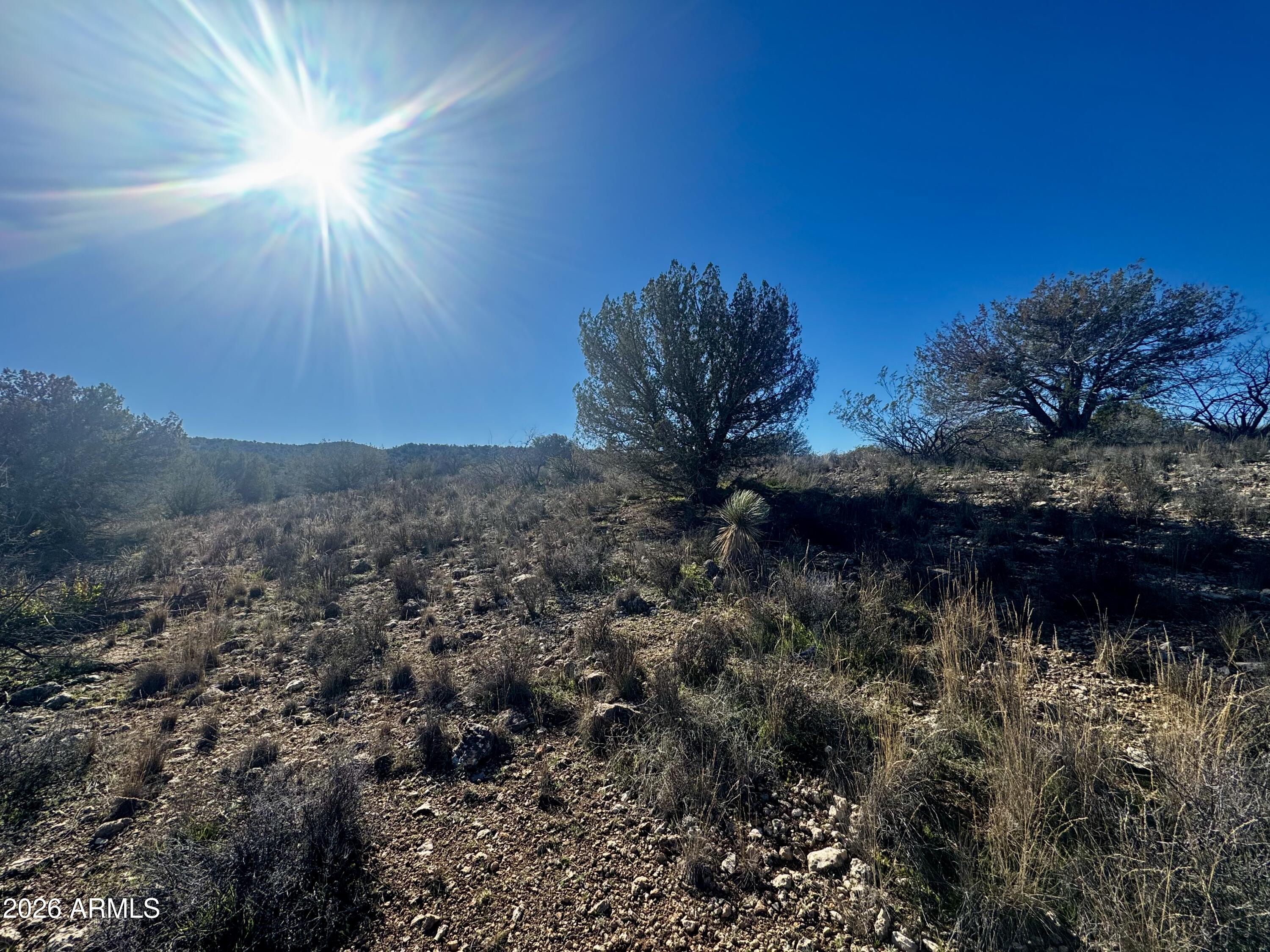 0 East High Star Trail Rimrock, AZ 86335 - Photo 9 of 19 IMG_6337