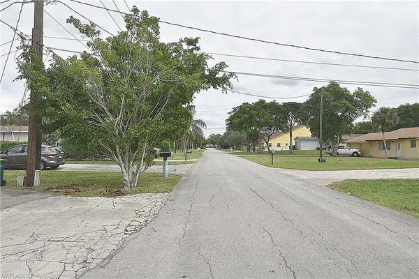 a view of a park with large trees