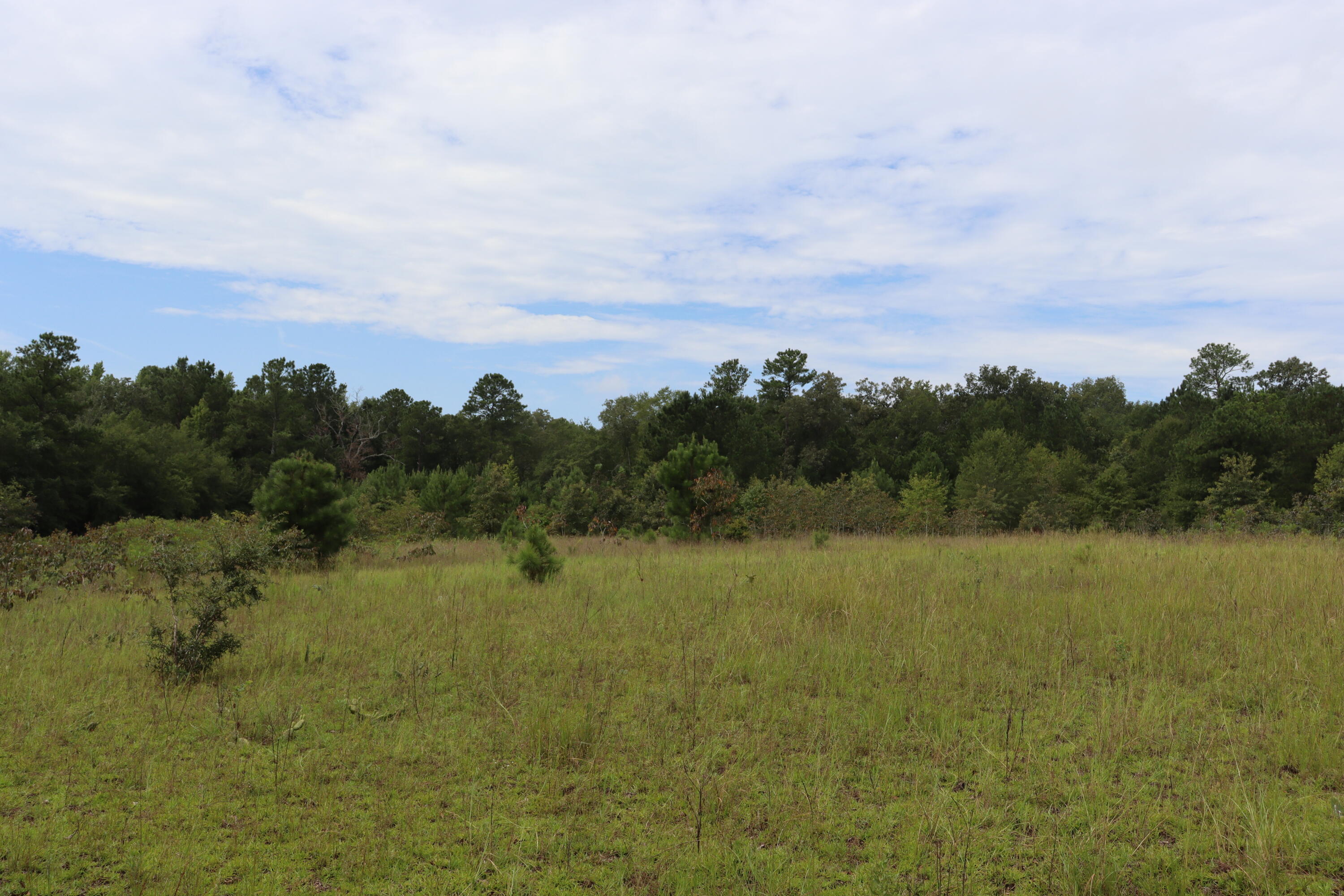 Xx Butler Drive Neeses, SC 29107 - Photo 8 of 19