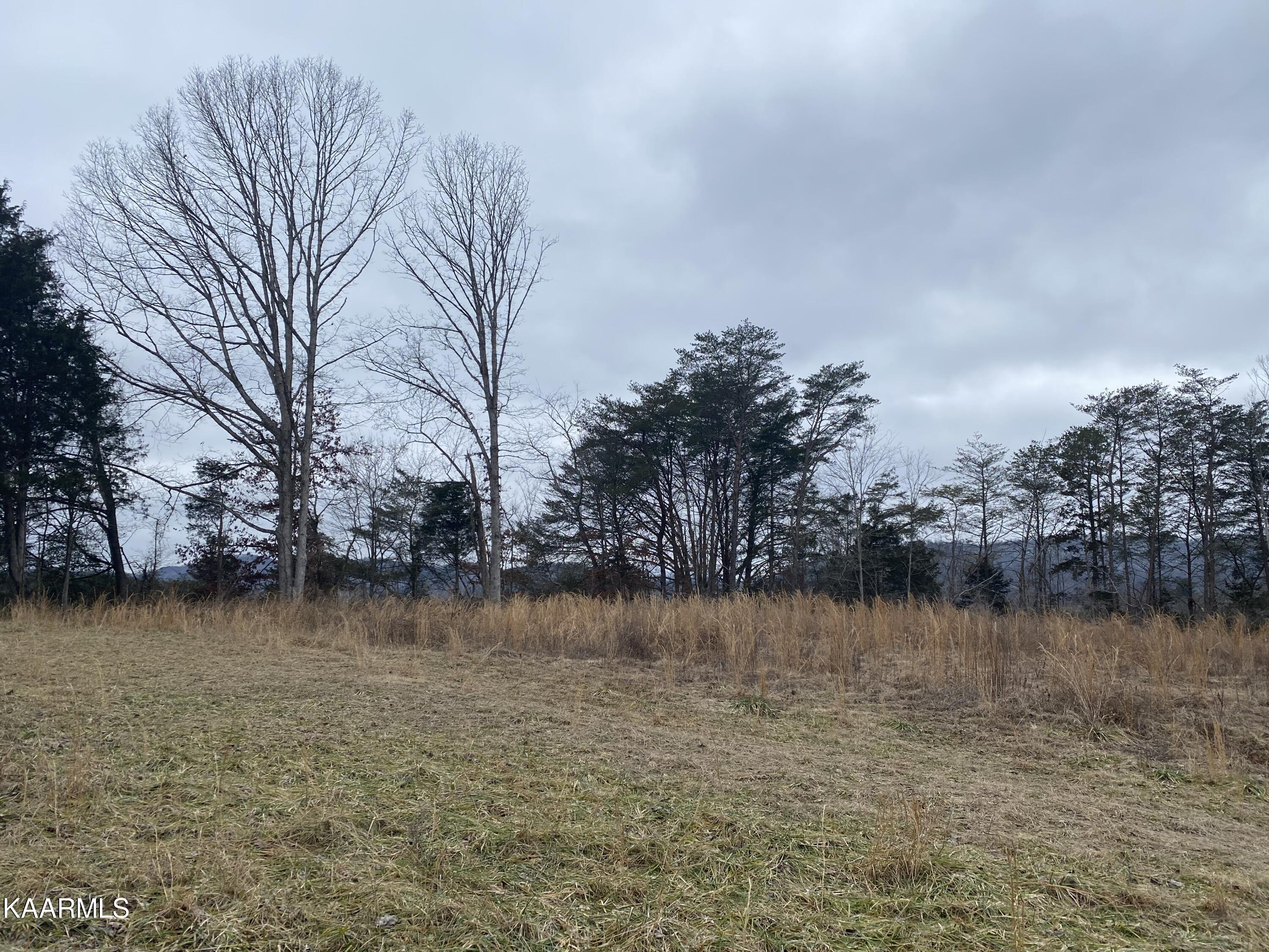 Cave Springs Road La Follette, TN 37766 - Photo 13 of 14 FF021162-B7EC-4E96-92E6-25BFA91D9AA9