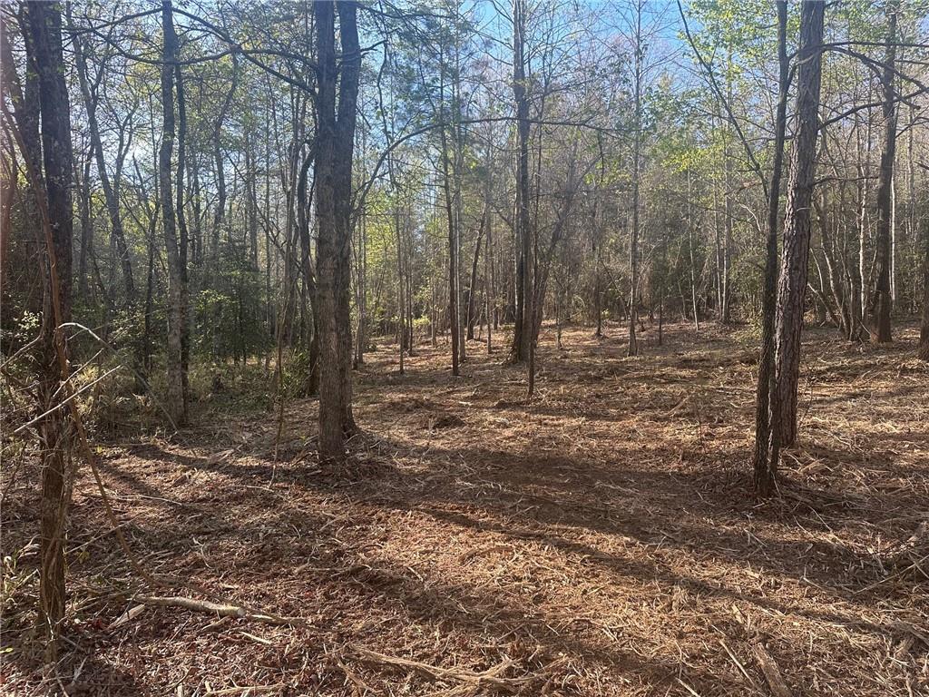 0 Lee Mashburn Road Dahlonega, GA 30533 - Photo 13 of 19
