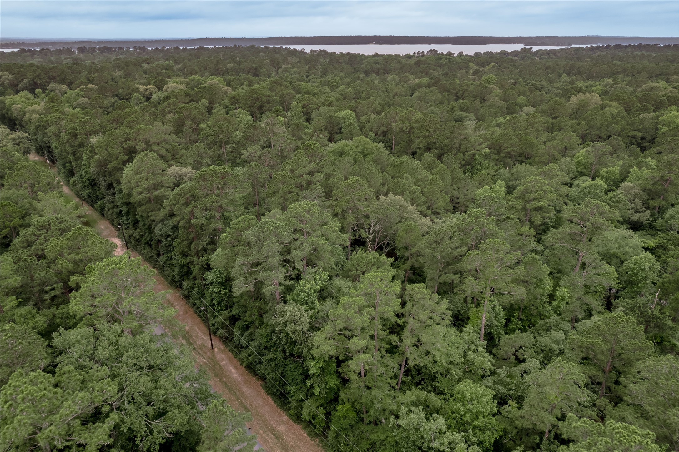 Lot 07 Oak Drive Trinity, TX 75862 - Photo 26 of 36