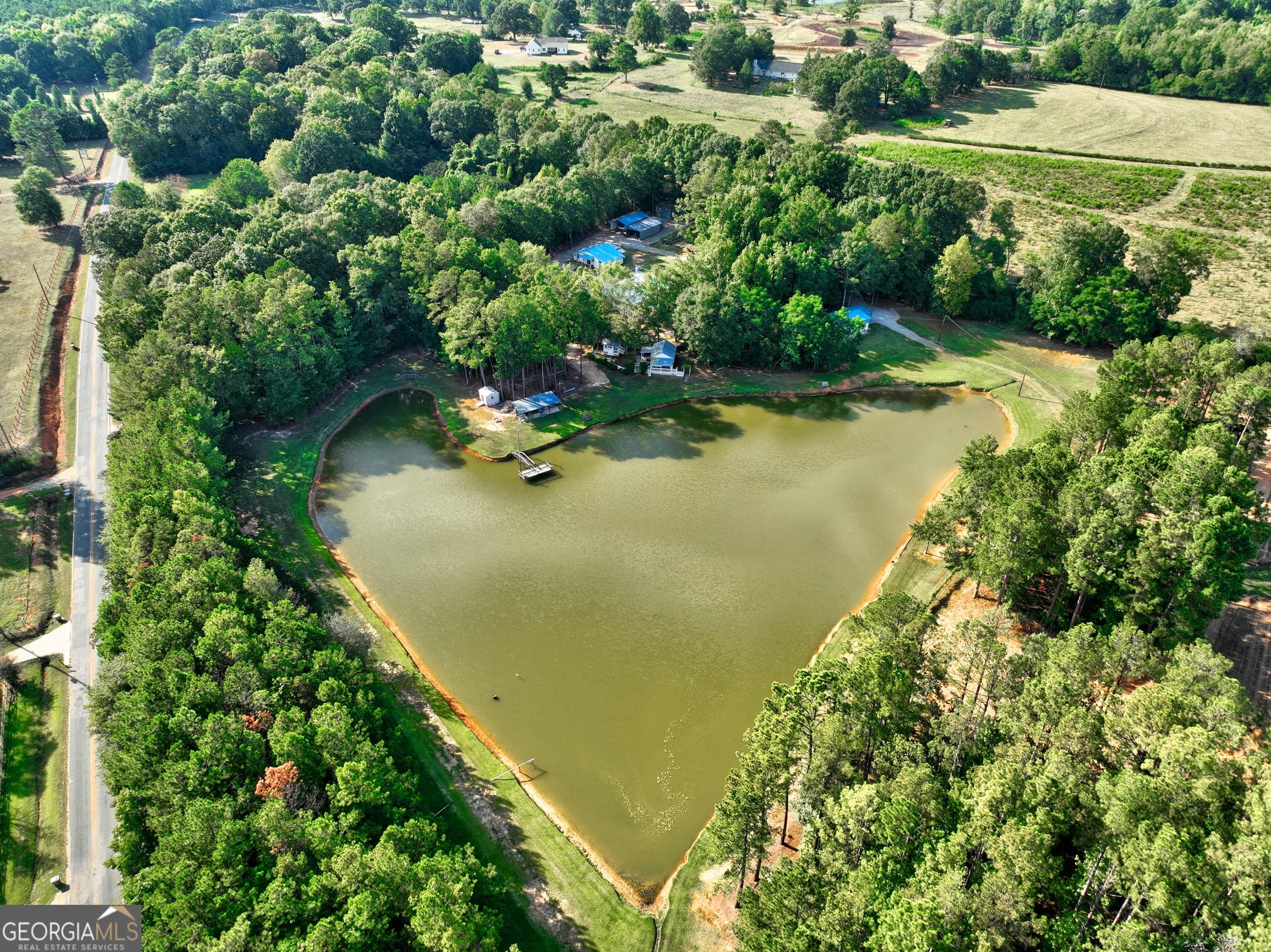 218 City Pond Road Barnesville, GA 30204 - Photo 50 of 51 an aerial view of residential house with outdoor space and trees all around