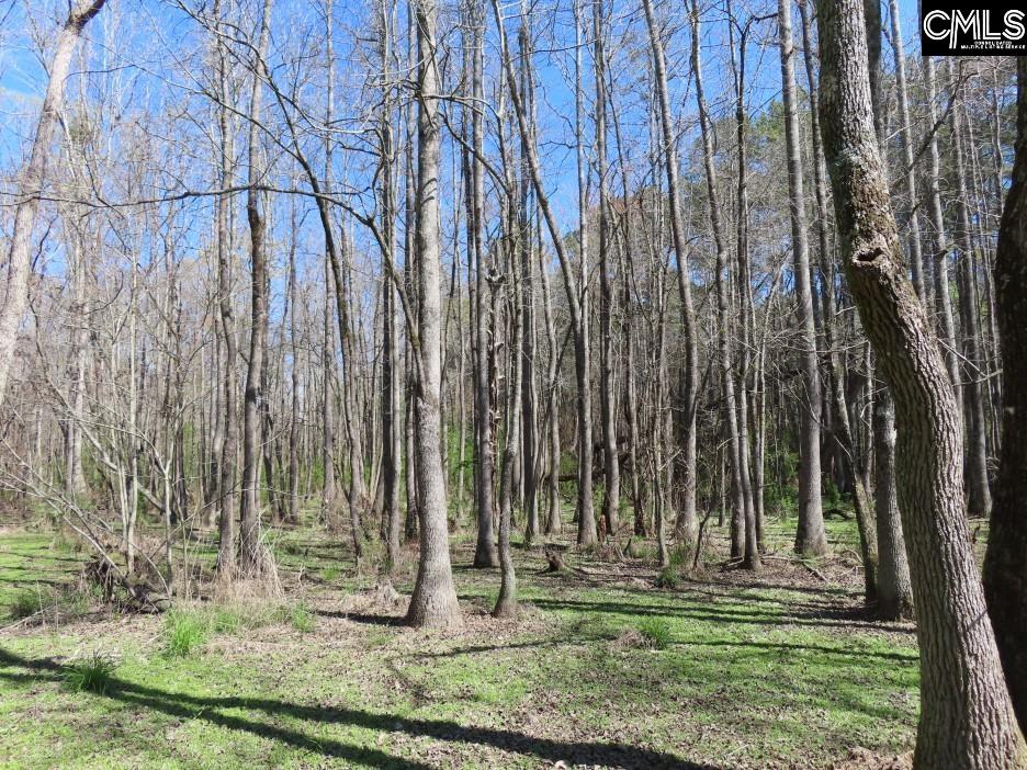 1672 Dixired Road Leesville, SC 29070 - Photo 10 of 67