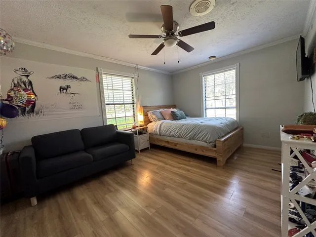 a living room with a bed furniture and a window