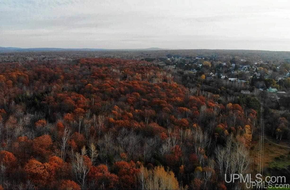 Tbd Tbd Off Us41 Mohawk, MI 49950 - Photo 7 of 22