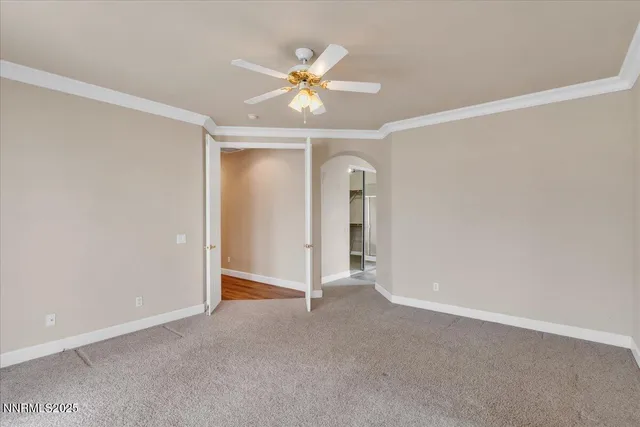 a view of a backyard with plants and large trees