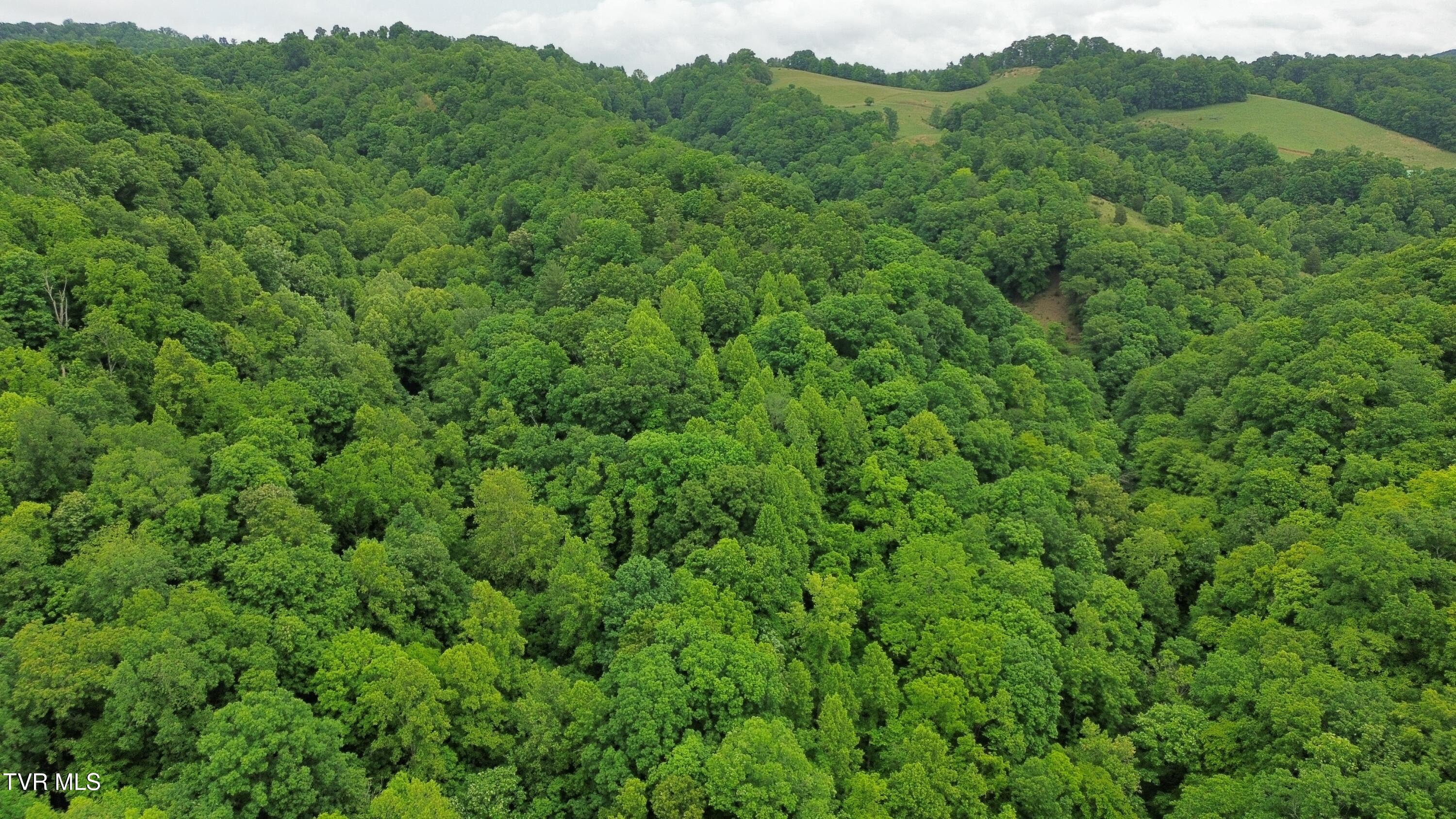 Tbd Boozy Creek Road Bristol, VA 24202 - Photo 2 of 33 dji_fly_20260319_215126_905_178039928229