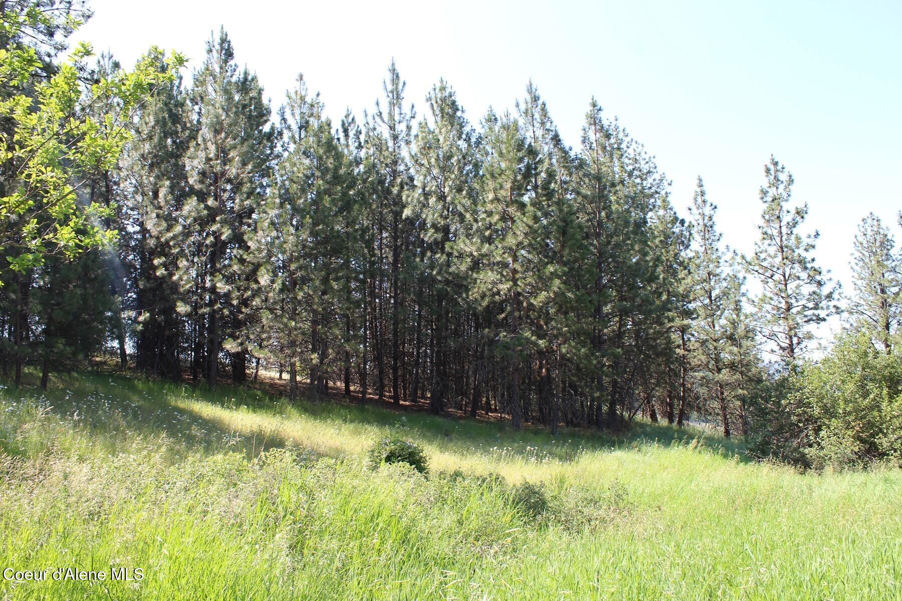 10 A Honor Road Harrison, ID 83833 - Photo 15 of 22 Forested Eastern Portion