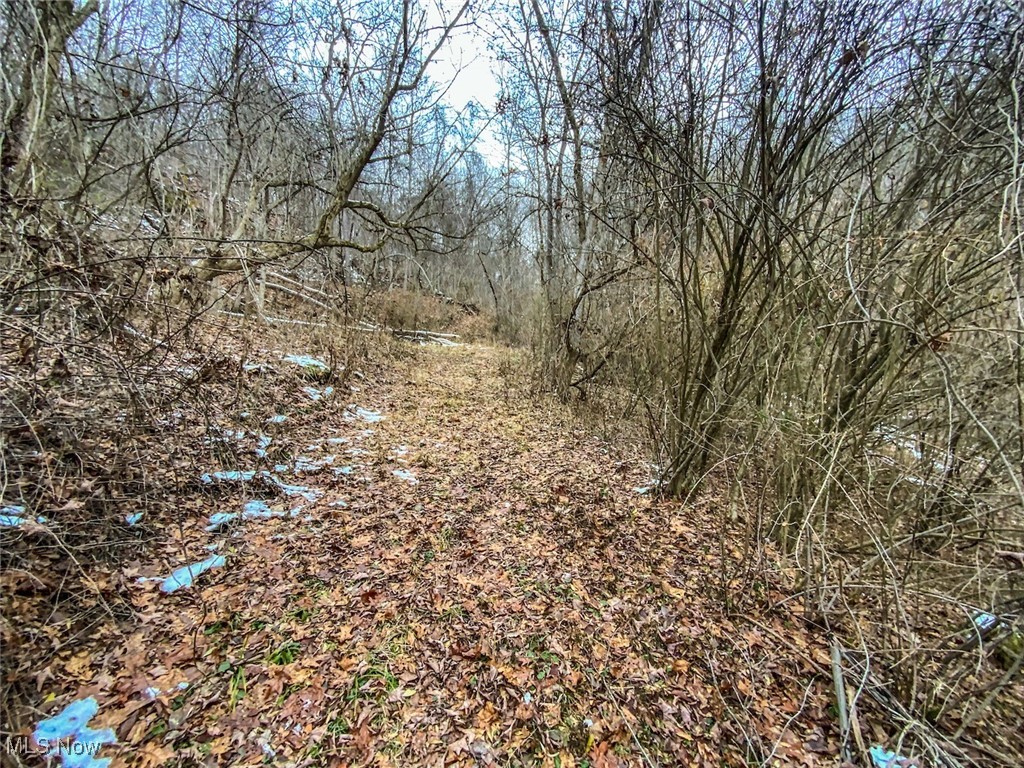 0 Trough Run Road Bellaire, OH 43906 - Photo 5 of 46 View of undeveloped land