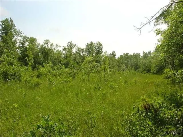 $699,900 | 5497 Genesee Street, Lancaster, NY 14086