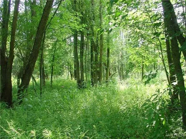 $699,900 | 5497 Genesee Street, Lancaster, NY 14086