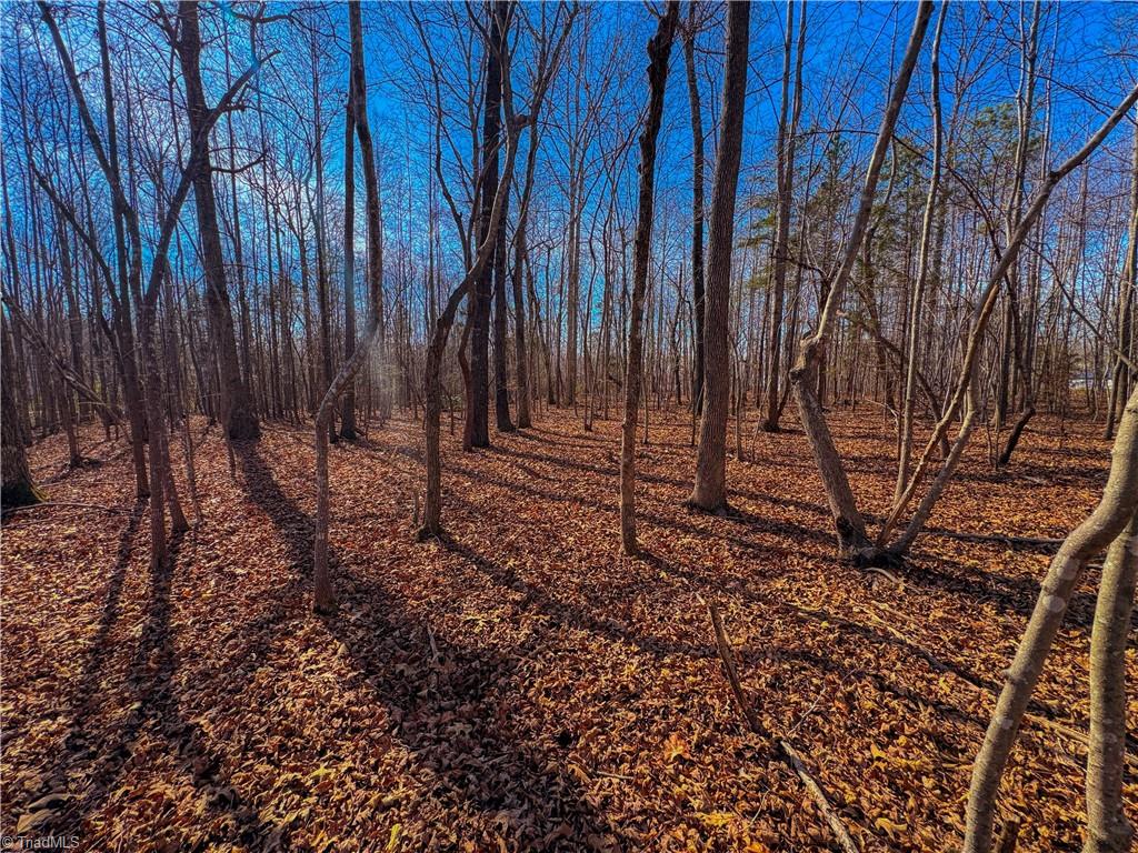 0 Jackson Creek Road Denton, NC 27239 - Photo 11 of 15