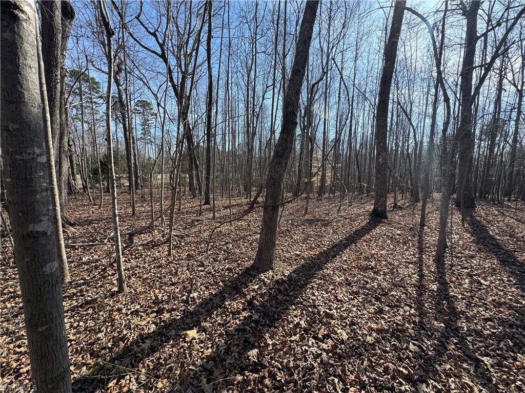 0 Jackson Creek Road Denton, NC 27239 - Photo 12 of 15