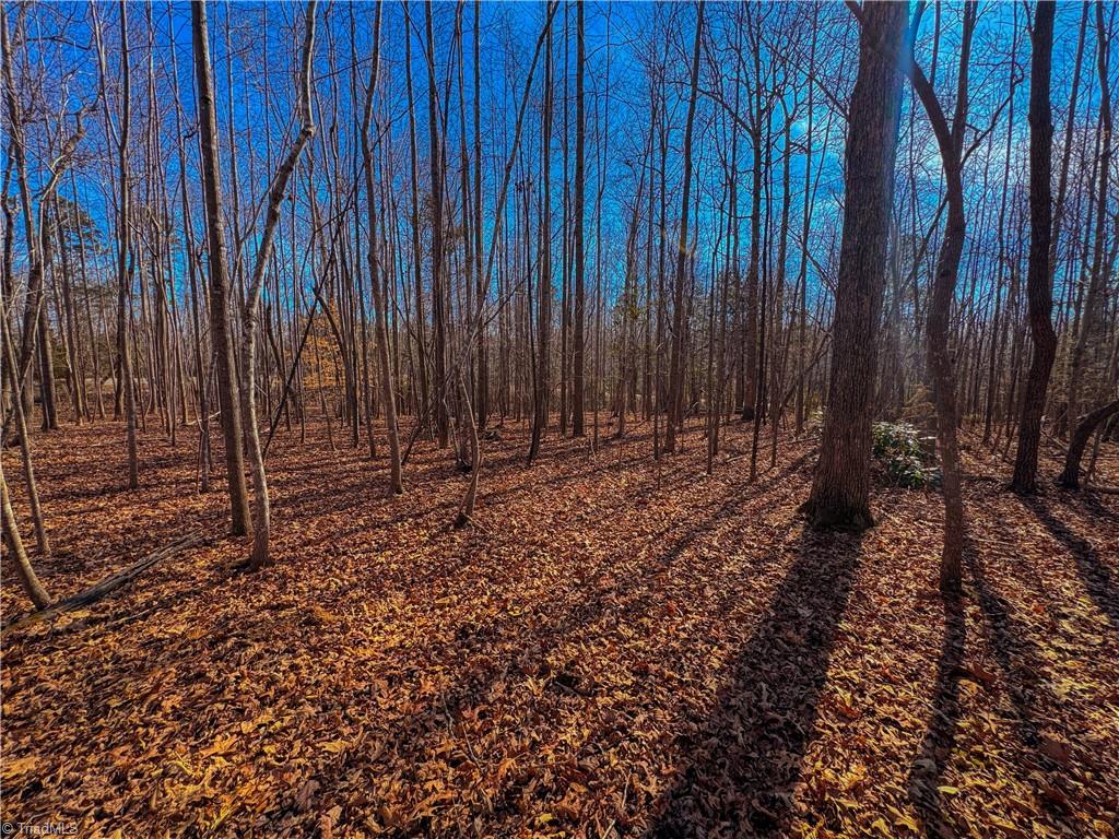 0 Jackson Creek Road Denton, NC 27239 - Photo 13 of 15