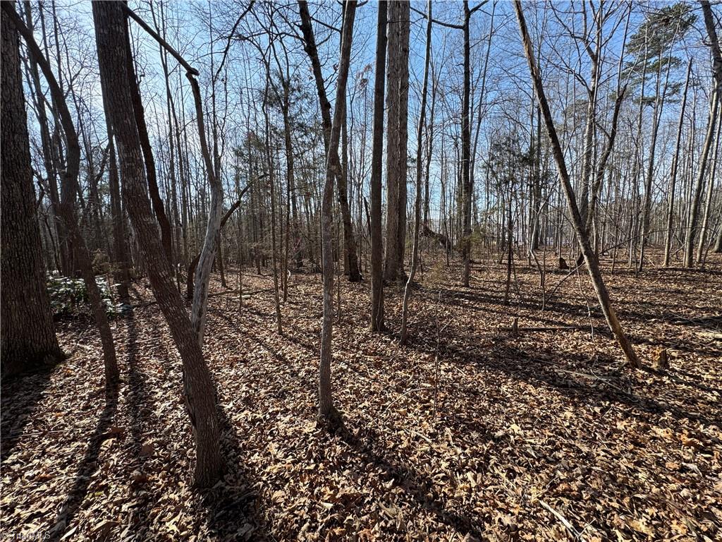 0 Jackson Creek Road Denton, NC 27239 - Photo 14 of 15