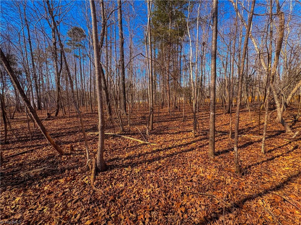 0 Jackson Creek Road Denton, NC 27239 - Photo 15 of 15