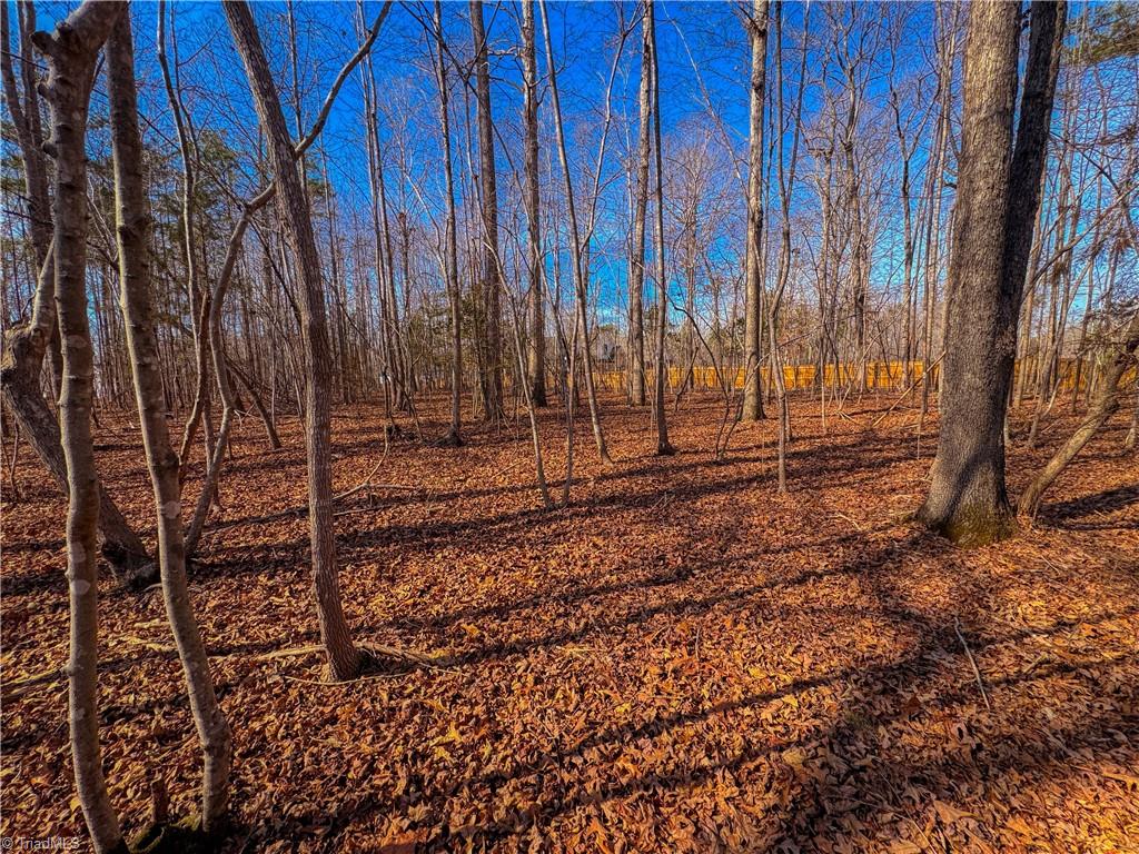 0 Jackson Creek Road Denton, NC 27239 - Photo 10 of 15