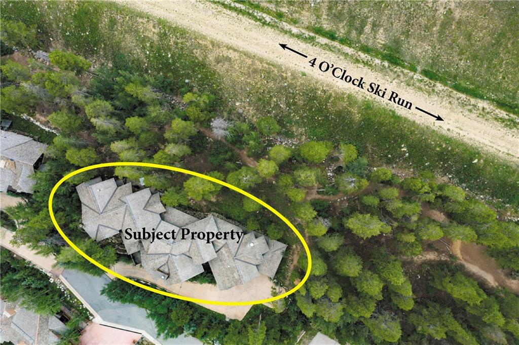 1050 4 O Clock Road Breckenridge, CO 80424 - Photo 33 of 35