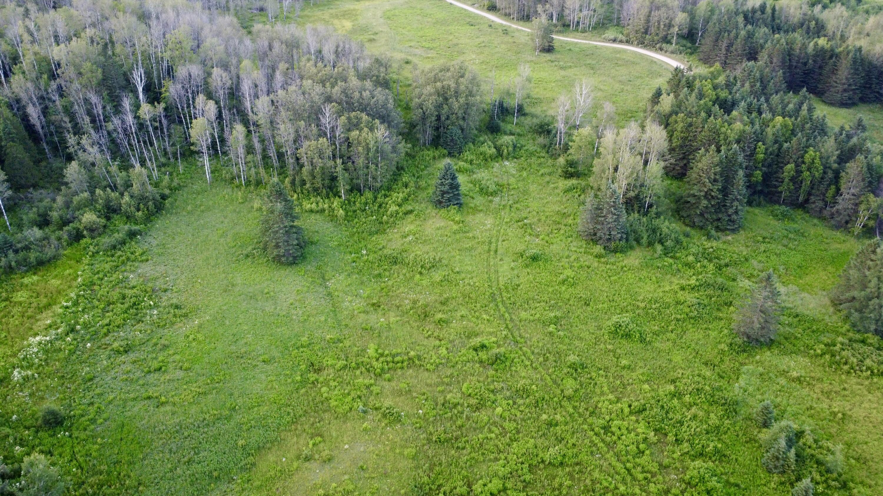 Lot 75 Brisse Culotte Road St. Agatha, ME 04772 - Photo 14 of 15 DJI_0078