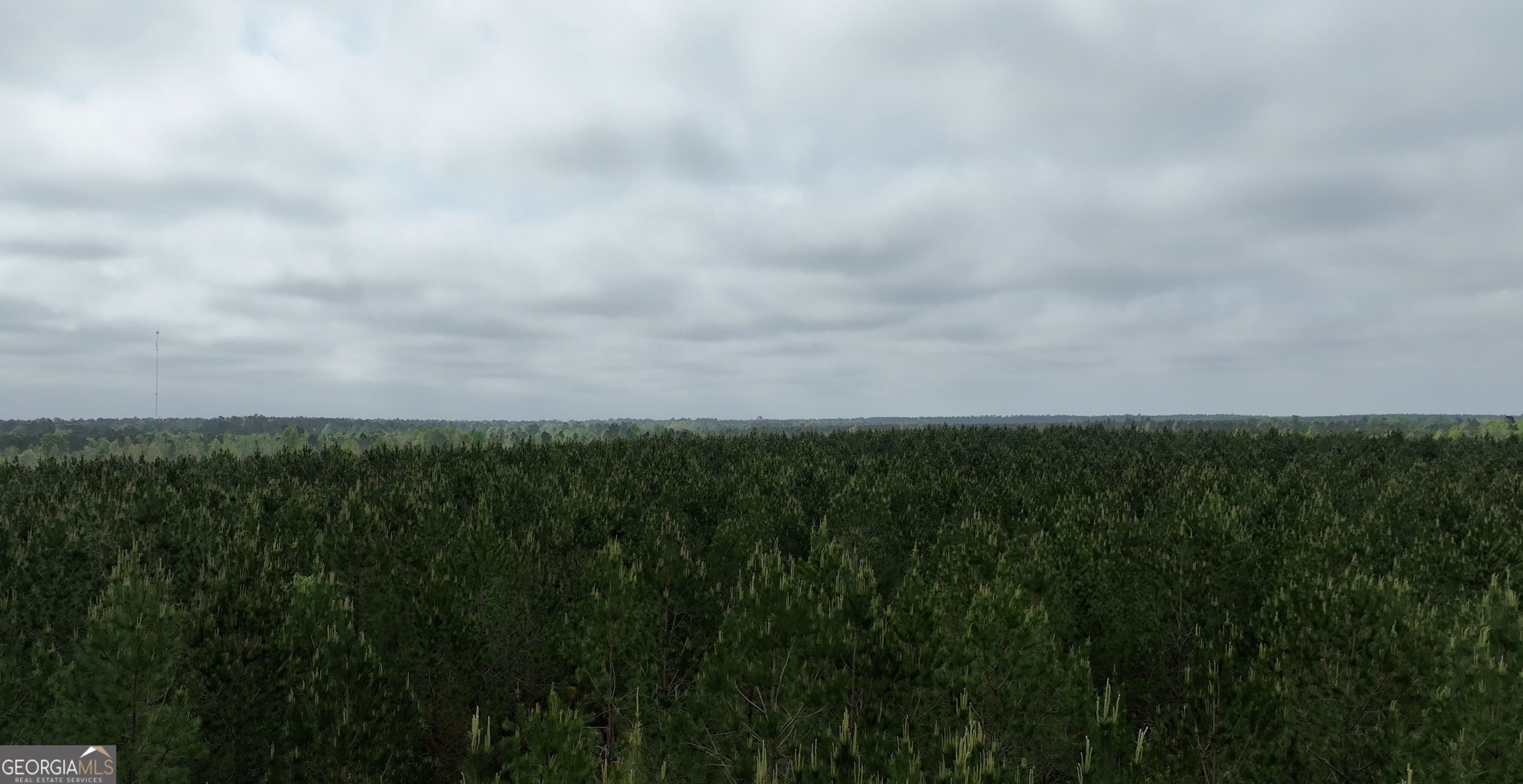 2 St Galilee Road Swainsboro, GA 30401 - Photo 2 of 7 a view of a big yard with lots of green space