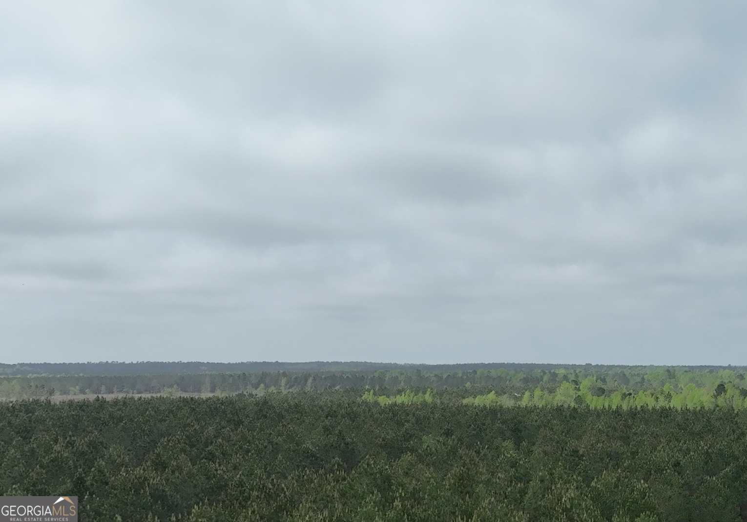 2 St Galilee Road Swainsboro, GA 30401 - Photo 3 of 7