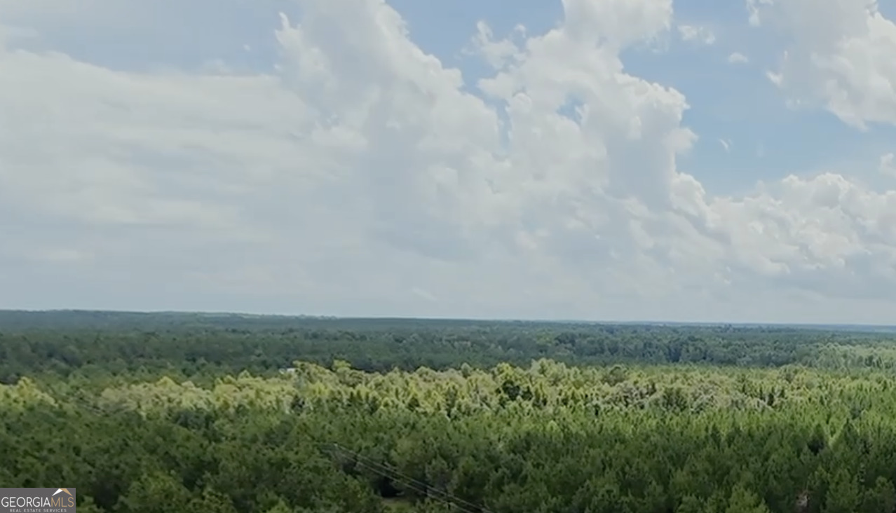 2 St Galilee Road Swainsboro, GA 30401 - Photo 4 of 7 a view of a field of grass and trees