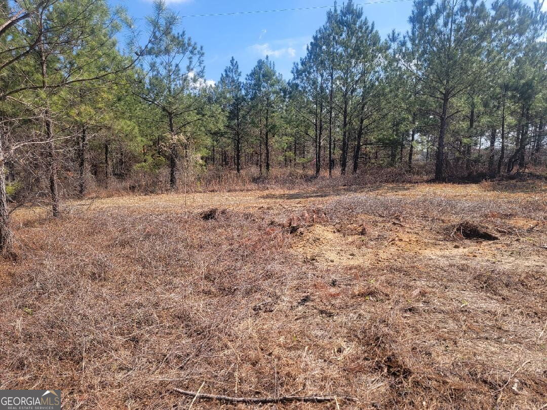 2 St Galilee Road Swainsboro, GA 30401 - Photo 6 of 7 a view of a yard with a tree