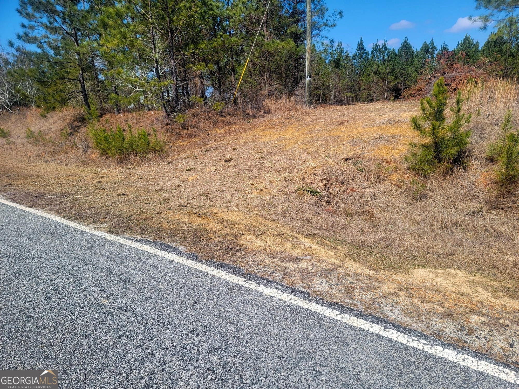 2 St Galilee Road Swainsboro, GA 30401 - Photo 7 of 7 a view of a yard with a tree