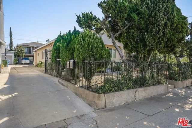 a street view with large trees and plants