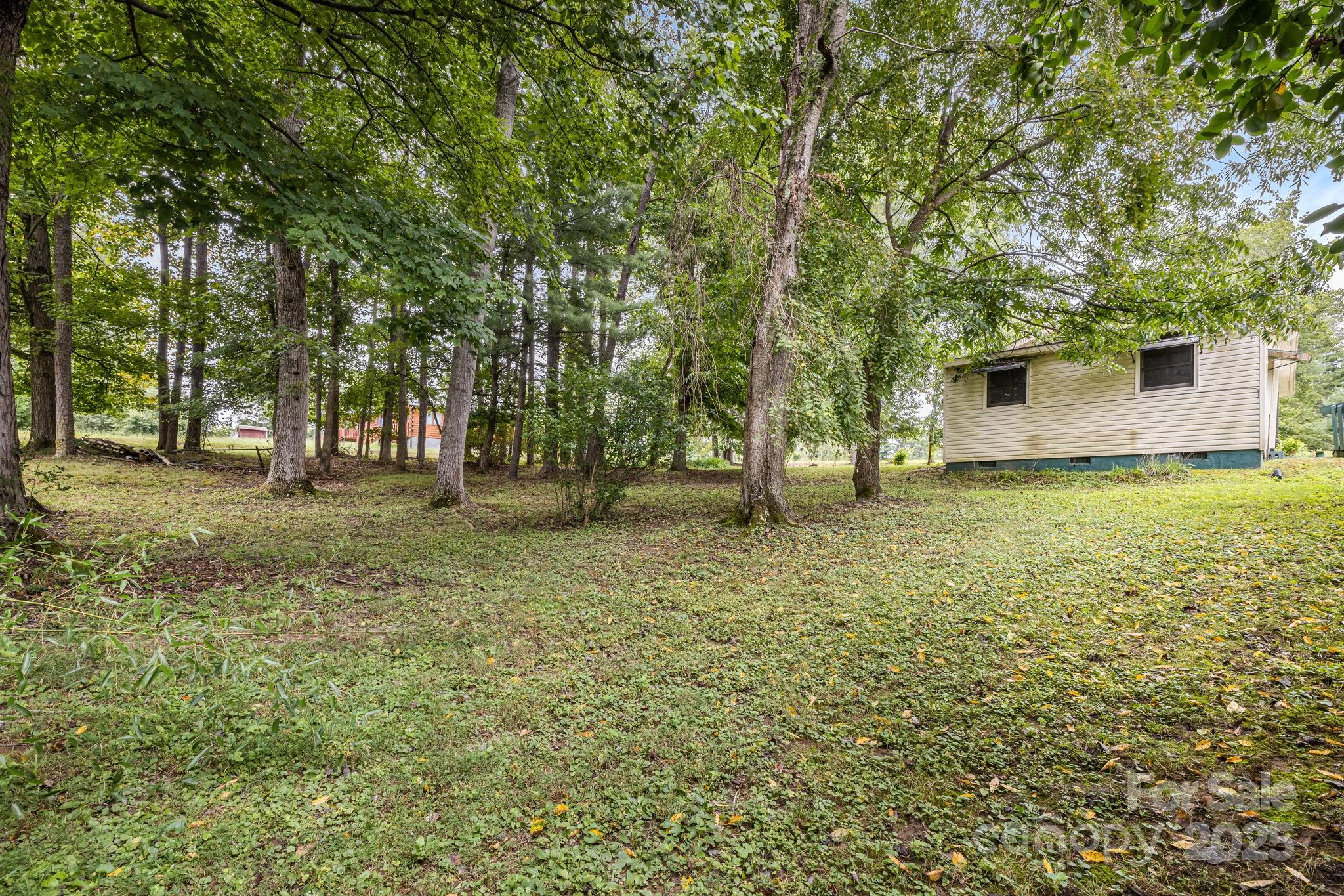 141 Macedonia Road Asheville, NC 28804 - Photo 32 of 33 a view of outdoor space with trees