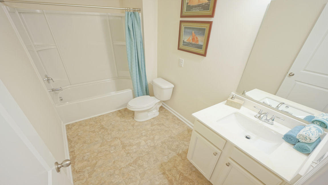 209 Goshen Road Moncks Corner, SC 29461 - Photo 22 of 46 Guest Bath