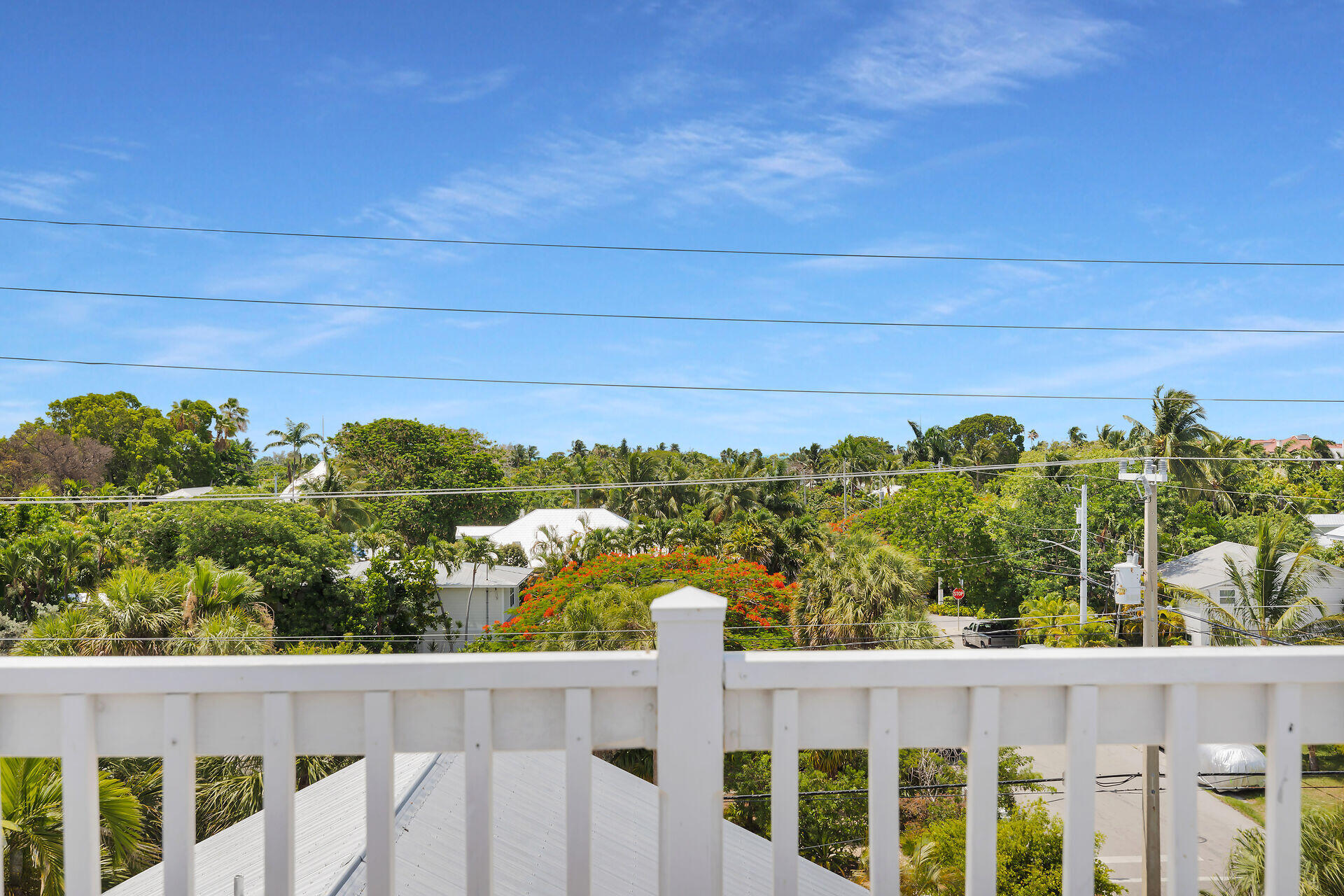 1001 United Street, Unit B Key West, FL 33040 - Photo 42 of 48 a view of a garden from a window