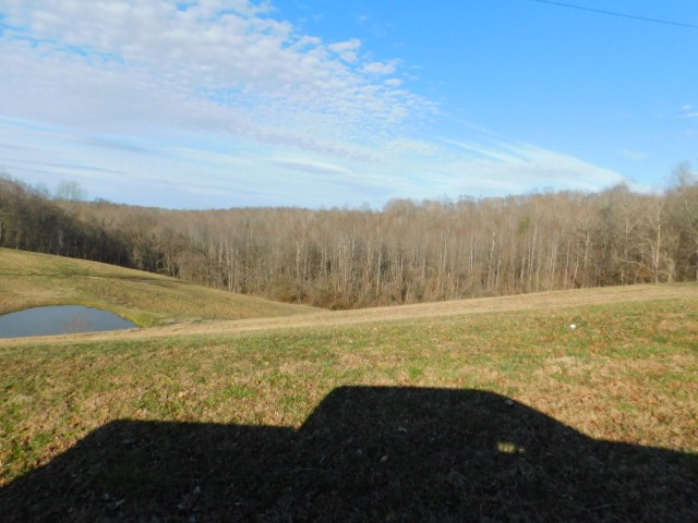 207 Pleasant Hill Road Dover, TN 37058 - Photo 32 of 36 Gallery Image 32
