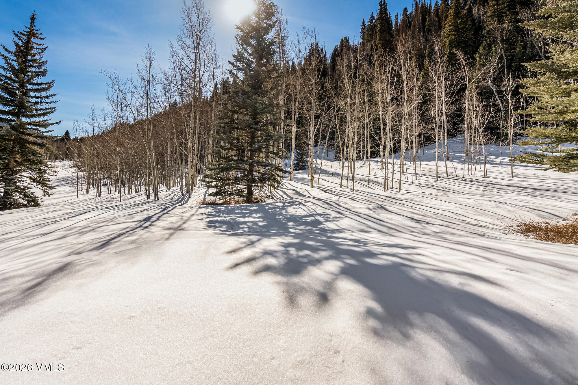 4470 Timber Falls Court, Unit 1405 Vail, CO 81657 - Photo 34 of 35 a view of a yard with trees