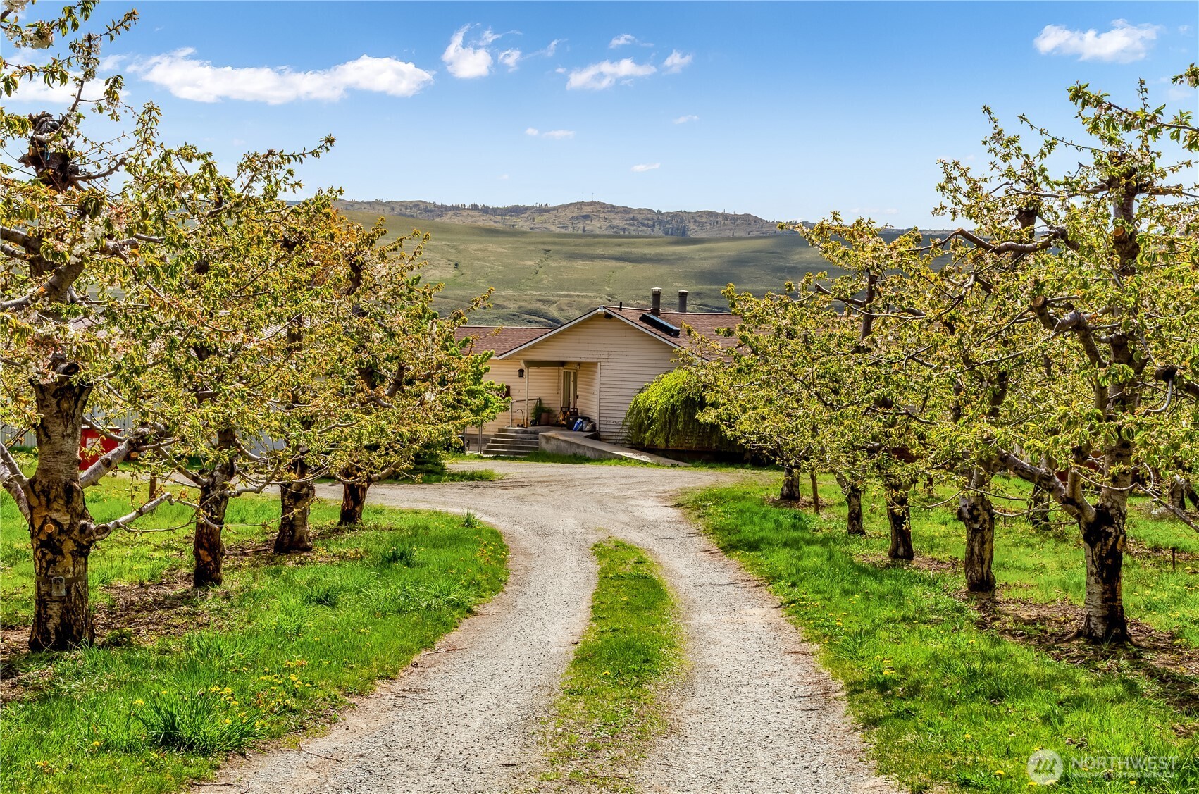 91 Okanogan Cemetery Road Okanogan, WA 98840 - Photo 4 of 13