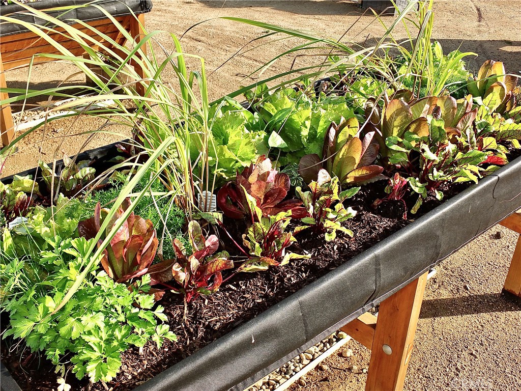 1560 Homewood Road, Unit 114L Seal Beach, CA 90740 - Photo 51 of 53