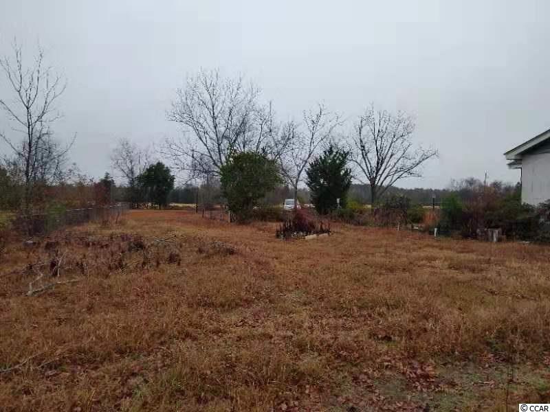 1744 Jones-Wire Road North, SC 29112 - Photo 3 of 13